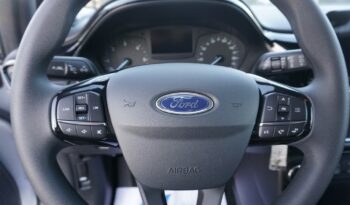 Ford Fiesta pieno