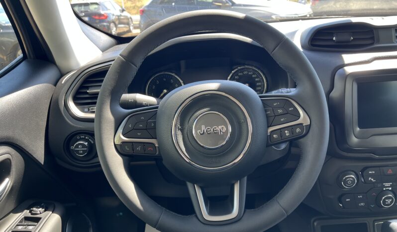 Jeep Renegade pieno