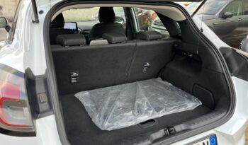 Ford Puma pieno