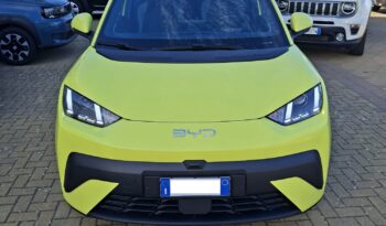 BYD pieno