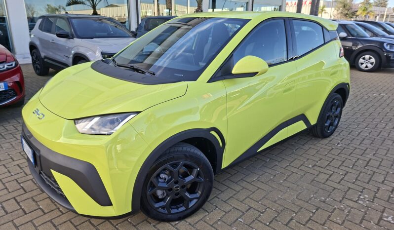 BYD pieno